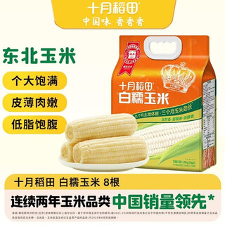 October rice field white waxy corn 4.16jin jin is equal to 0.5kg (260g*8 sticks) low-fat breakfast northeastern corn multigrain coarse cereals