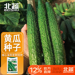 Beishu cucumber seeds seedlings old varieties summer dense thorn green heart vegetable seeds melon man large cucumber seeds 100 capsules