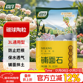 Shangyang bola de carbono ceramsite 3l jardín en maceta decoración de flores suelo granular maceta fondo suelo mixto relleno flor adoquín