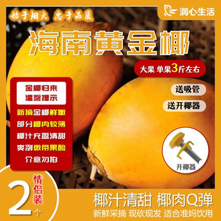 Jinrunxin hainan golden coconut freshly picked green coconut large fruit natural coconut water coconut juice coconut egg pregnant women fruit amniotic fluid couple pack 2 (large fruit single fruit approximately 3jin jin is equal to 0.5kg)