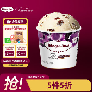 Haagen-dazs grape rum flavored ice cream 100ml/cup ice cream