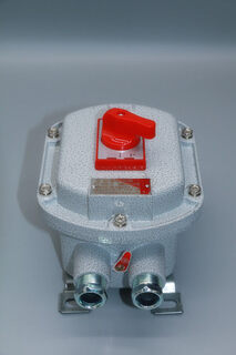 Explosion-proof circuit breaker bdz52-2p3p20a/32a63a integrated explosion-proof circuit breaker explosion-proof air switch 10a explosion-proof circuit breaker 220v/2p