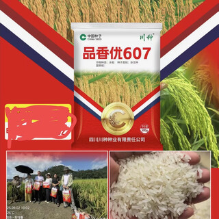 Pinxiangyou 607 rice seeds are high-yield rice seeds with good taste. 1jin jin is equal to 0.5kg *1 pack