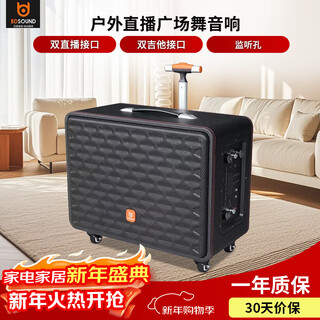 Bader audio flight attendant outdoor live square dance audio wireless bluetooth high power portable trolley built-in sound card all-in-one speaker flight attendant black 15-inch dual microphone