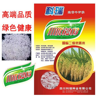 Семена риса chuanyou 6203 семена риса, стабильная урожайность, кущение, сильная устойчивость к болезням и полеганию, ароматный рис, вкусный тайский сорт риса chuanyou 6203 семена риса 3 пакетика