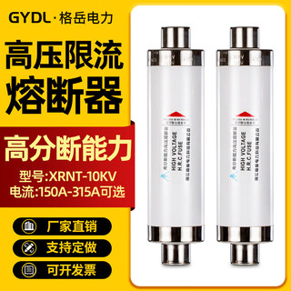 High voltage current limiting fuse xrnt10kv-12kv150a160a200a250a300a transformer drop-out type