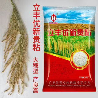 Hybrid large-ear stable-yield seed rice lifeng youxinggui sticky national standard third-level seed 500g pack lifeng youxinggui sticky 1jin jin is equal to 0.5 kg.