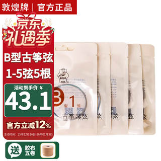 Dunhuang brand guzheng strings b-type strings 1-5 strings 5 pieces + 5 rolls of tape guzheng accessories