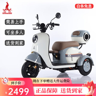 Phoenix beetle electric tricycle household small battery car for the elderly leisure electric car three-wheel electric motorcycle 500w+48v12a lead-acid + battery life about 25 kilometers