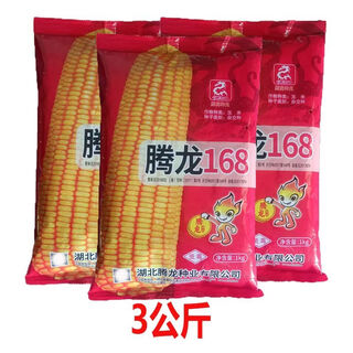 Коллекция семян гибридной кукурузы со стабильной урожайностью Тенлун, стабильная урожайность в Сычуани, устойчивость к болезням, устойчивость к полеганию, Чунцин, семена кукурузы Хунань, Тенлун 1683 кг