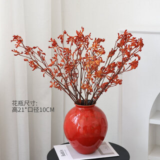 Everlasting flower kangaroo paw dried flower bouquet with natural air-dried feeling real flower dried branches for bed and breakfast decoration dried flowers orange kangaroo paw 10 pieces + red ceramic vase dried flower bag
