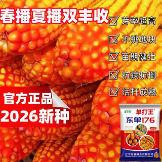 Wangyuanxing original high-yielding corn seeds collection, disease-resistant, lodging-resistant, drought-resistant, waterlogging-resistant, big maize hard big sticks, genuine corn seeds, trial planting selection, one acre of land, 3 jin jin is equal to 0.5 kg, high-yielding seeds, high-yielding nationally approved dongdan 176 dwarf stalk selection