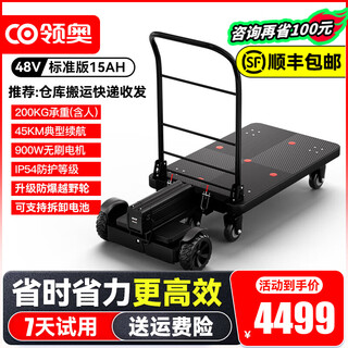 Lingao electric self-balancing trolley trolley, courier flatbed truck, logistics warehouse industrial park, cloud warehouse sorting, pickup, delivery, delivery, cargo handling, transportation artifact tool cart, load capacity 200 kg, approximately 45km battery life/900w dual motors/8.5-inch explosion-proof wheels