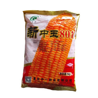 Семена кукурузы asarum xinzhongyu 801, короткий стебель, стабильная урожайность, семена кукурузы с большими початками, семена кормовой кукурузы, оригинал xinzhongyu 801, один килограмм