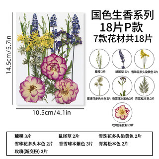 Pupan natural glue dried flower embossed diy material package plant specimen children's bookmark face decoration real flower national color and fragrance series p model
