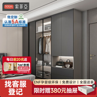 Sofia's whole house custom-made integrated wardrobe. master bedroom multi-functional storage wardrobe. aluminum-magnesium alloy door wardrobe. customized gold.