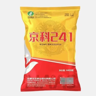 Семена кукурузы jingke 241, высокоурожайные, одобрены на национальном уровне, устойчивы к полеганию, крупные палочки, устойчивы к болезням, устойчивы к плотности, засухоустойчивы и устойчивы к ржавчине, 3 мешка, 4400 зерен/мешок