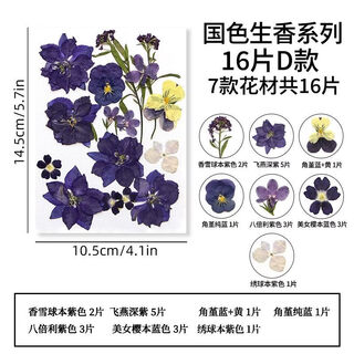 Pupan natural glue dried flower embossed diy material package plant specimen children's bookmark face decoration real flower national color fragrance series d