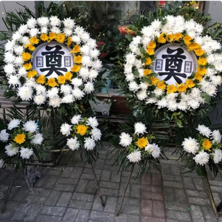 Flowers and qianxun chrysanthemum flowers wreaths for the elderly’s death, funerals, funeral and sacrifice supplies, tomb sweeping and commemoration, door-to-door delivery in the city, 12 chrysanthemum wreaths (single price)
