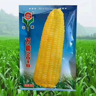 Wangyuan xing wannuo 2018 новые желтые восковые семена кукурузы свежие семена кукурузы желтые липкие восковые семена кукурузы сладкие и клейкие 200 г новая дата (wannuo 2018) дефицитный захват захват