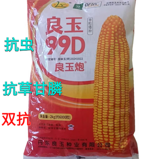 New kind of good jade small golden cannon original genuine dandong liangyu 99z upgraded corn seed good jade cannon high resistance lodging seed dandong liangyu good jade cannon 99d 6000 capsules 1 bag
