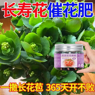 Special fertilizer for longevity flowers to promote flowering in four seasons and extend the flowering period. rotted roots, yellow leaves and bright flowers. no dilution. slow-release organic fertilizer. granular fertilizer for longevity flowers. essential for flower cultivation. buy 3 and get 2 for free. 5 bottles. 800 times effective.