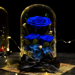 Yingtang immortal flower dried flower real flower rose gift box bouquet decoration for girls and friends for boudoir birthday blue enchantress