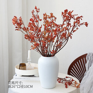 Preserved flower kangaroo paw dried flower bouquet with natural air-dried feeling real flower dried branches for bed and breakfast decoration dried flowers orange kangaroo paw 10 pieces + white thread vase dried flower bag