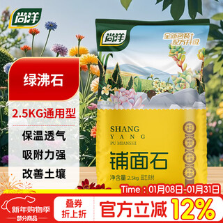 Shangyang green zeolite 2.5kg succulent soil particles paving stone beautiful gardening soilless cultivation matrix plant planting matrix