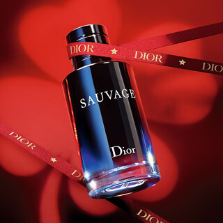 Dior dior wilderness men's eau de toilette 100ml woody fragrance fragrance gift box birthday gift new year's gift for men