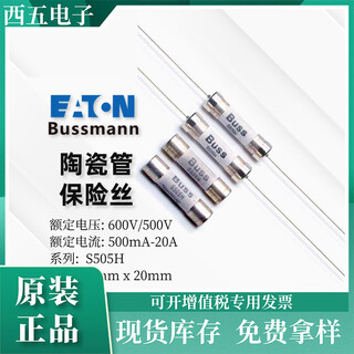 Shantou lincun battery charger s505h1a-20a500v-600v ceramic tube slow blow fuse s505h-500-r