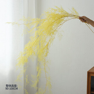 Qixianqi asparagus immortal flower dried flower bouquet living room decoration store hotel b&b decoration flower arrangement real flower eternal yellow asparagus bouquet __ 5 pieces