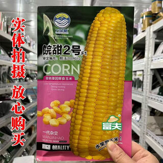 Суперсладкие молочные фрукты, семена кукурузы, красочные сладкие восковые семена, сладкие высокоурожайные саженцы, красочные черные восковые белые клейкие весенние четыре сезона, 20 мешков или более 16 юаней за мешок/Вантиан № 2 кукурузы
