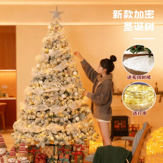 Abaoli white falling snow living room 2026 home large and small decoration decorations high-end