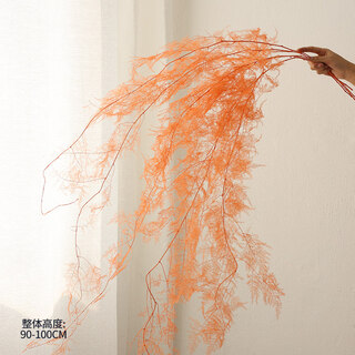 Qixianqi asparagus immortal flower dried flower bouquet living room decoration store hotel b&b decoration flower arrangement real flower eternal orange asparagus bouquet __ 5 pieces