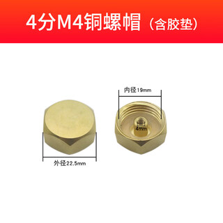 Qiaobolai electric water heater sewage outlet nut brass nut 4 points 5 minutes 6 minutes 8 minutes 1 inch screw waterproof cap magnesium rod accessories 4 points m4 brass cap sewage outlet magnesium rod special