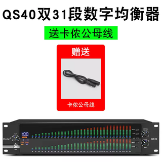 Equalizer professional home stage performance high school bass eq noise reduction bar wedding dual 31-segment digital tuner digital equalizer xlr male and bus