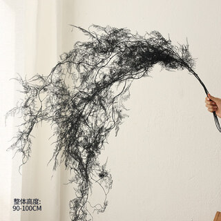 Qixianqi asparagus immortal flower dried flower bouquet living room decoration store hotel b&b decoration flower arrangement real flower eternal black asparagus bouquet __ 5 pieces