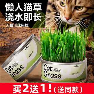 Hellojoy cat grass seed cultivation canned boxed cat grass canned lazy cat grass aids digestion and removes hair balls cat snacks 1 can