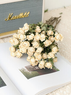 Dried flower multi-headed roses air-dried handmade flowers real flowers graduation photo living room decoration ins home furnishings ins style starry bubbles 35 flowers