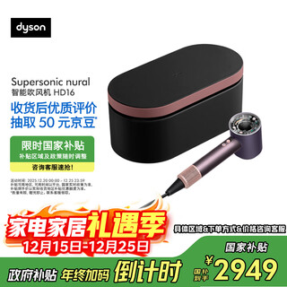 Dyson hd16 smart hair dryer supersonic hair dryer negative ion quick-drying hair care christmas gift hd16 crystal purple