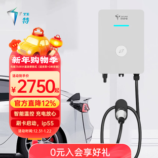 Telaidian nine-hole dc charging pile 7kw home 220v fast charging new energy electric vehicle swipe card adapted to weilai hongqi eqm5 ideal wuling geely dc 9-port model wall-mounted - 0 meter installation