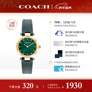 Coach cary series belt quartz women's watch 14503951 recommended by luo yizhou new year gift/gift giving