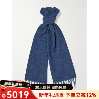 Ralph lauren new product poloralphlauren ralph lauren men's embroidered tassel wool blend scarf blue one size