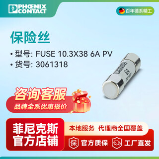 Phoenix fuse-fuse fuse 10.3x38 6a pv-3061318 10 pieces in a pack