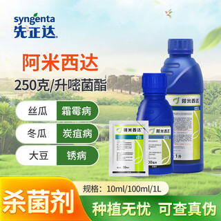 Syngenta amicida 250 g/litre azoxystrobine mildiou oïdium pesticide fongicide 10 ml * 1 sachet