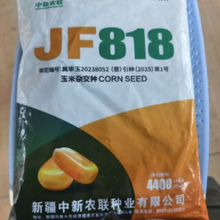 Jf818 высокоурожайные семена кукурузы, крупные початки, короткие стебли, устойчивость к полеганию, устойчивость к засухе и болезням, аутентичные Высокоурожайные семена кукурузы jf818, крупные початки, короткие стебли, устойчивость к полеганию, устойчивость к засухе и болезням, аутентичные