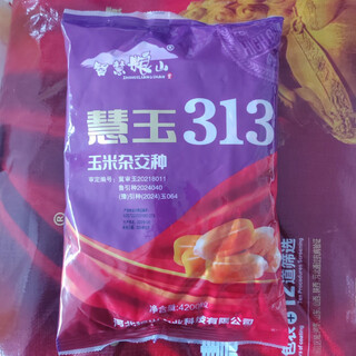 Семя кукурузы huiyu 313, стержень белый, початок большой, устойчивый к болезням, 4200 зерен в пакете