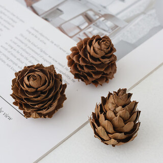 Natural fruit shell fruit plant specimen landscaping handmade diy material dried fruit dried flower decoration creative gift fir tree fruit_3 pcs
