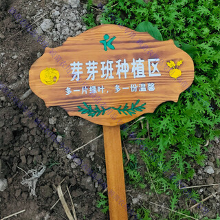 Customized wooden sign for park vegetable garden, vegetable field, wooden grass planting area sign, vertical plug-in sign, care for flowers and plants, 3 models 30*20cm